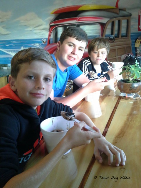 The boys loved the Frozen Yoghurt (Fro yo)