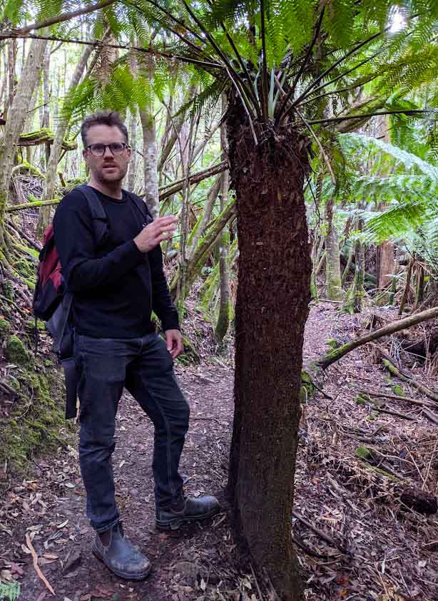 Image of a man wearing black trousers and a black shirt standing next to a tree fern that is taller than him