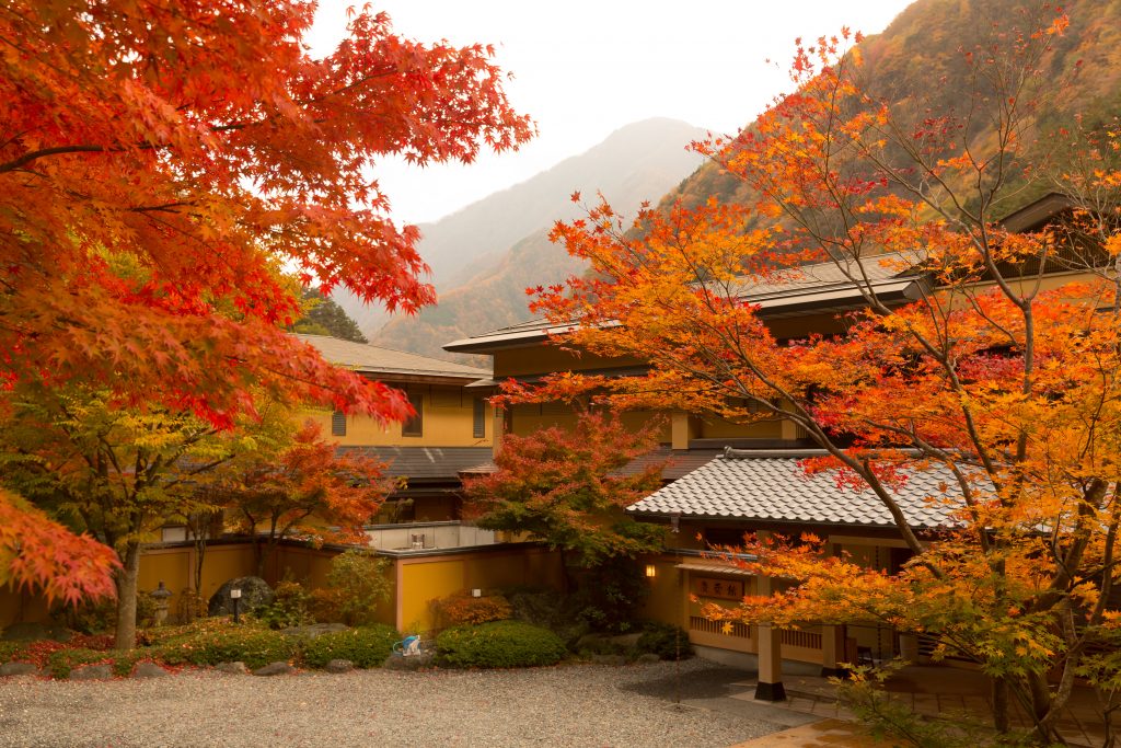 Image of a Japanese building shaded by leafy trees in fall colours