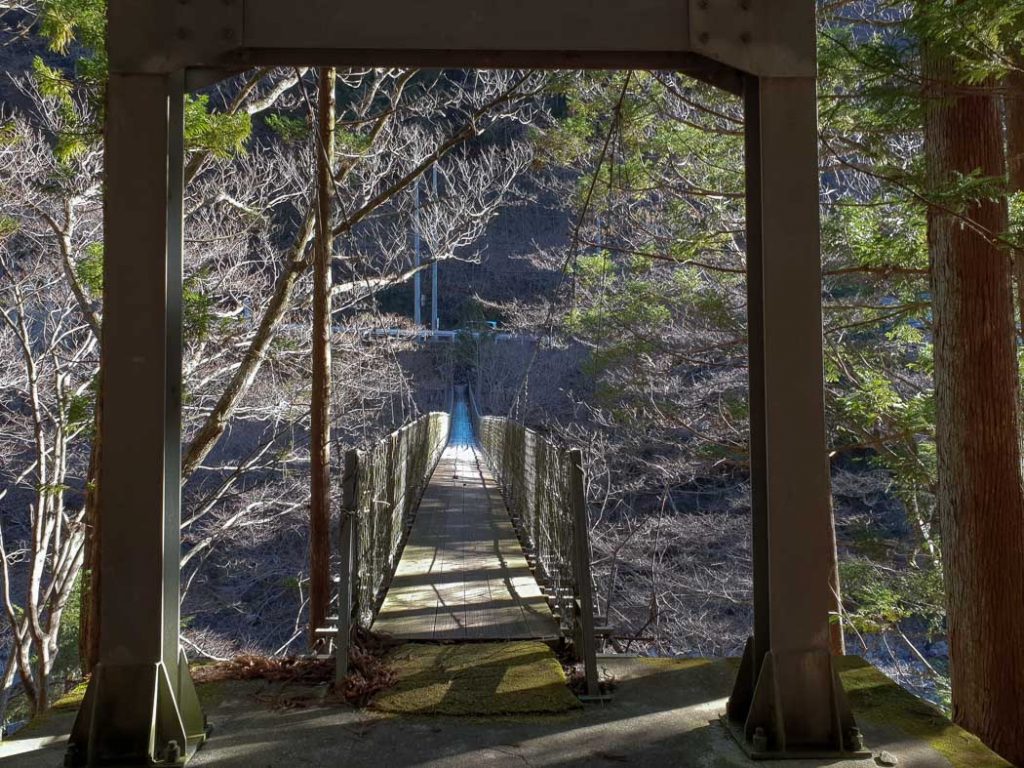 Image of a swing bridge leading to a forest