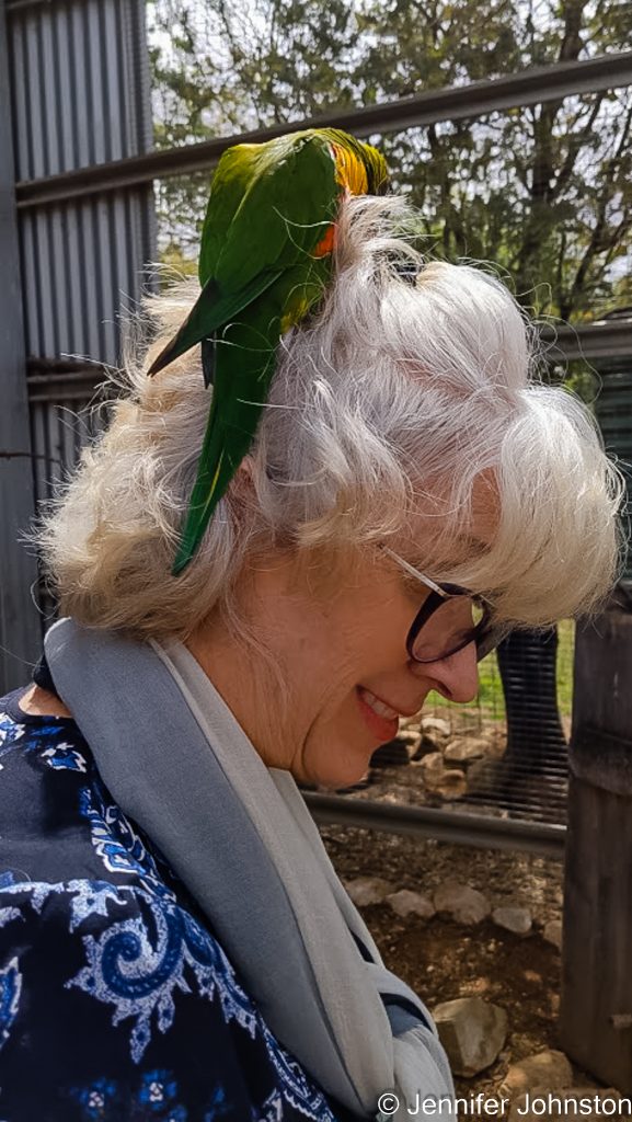Image of a woman with a lorikeet parrot in her hair