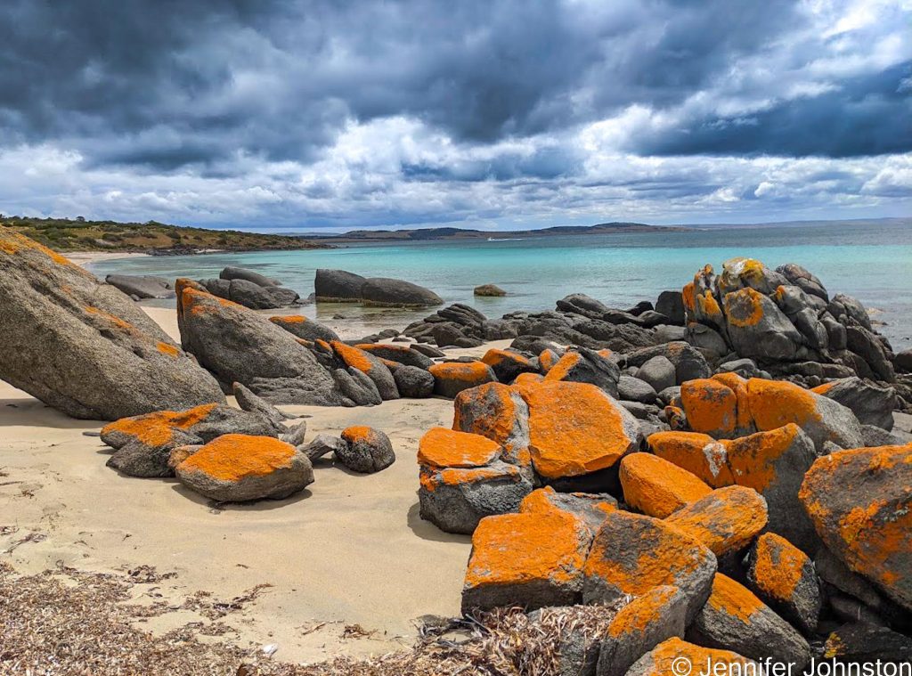 Image of an ocean inlet with aqua water and a beach with rocks covered in orange lichen