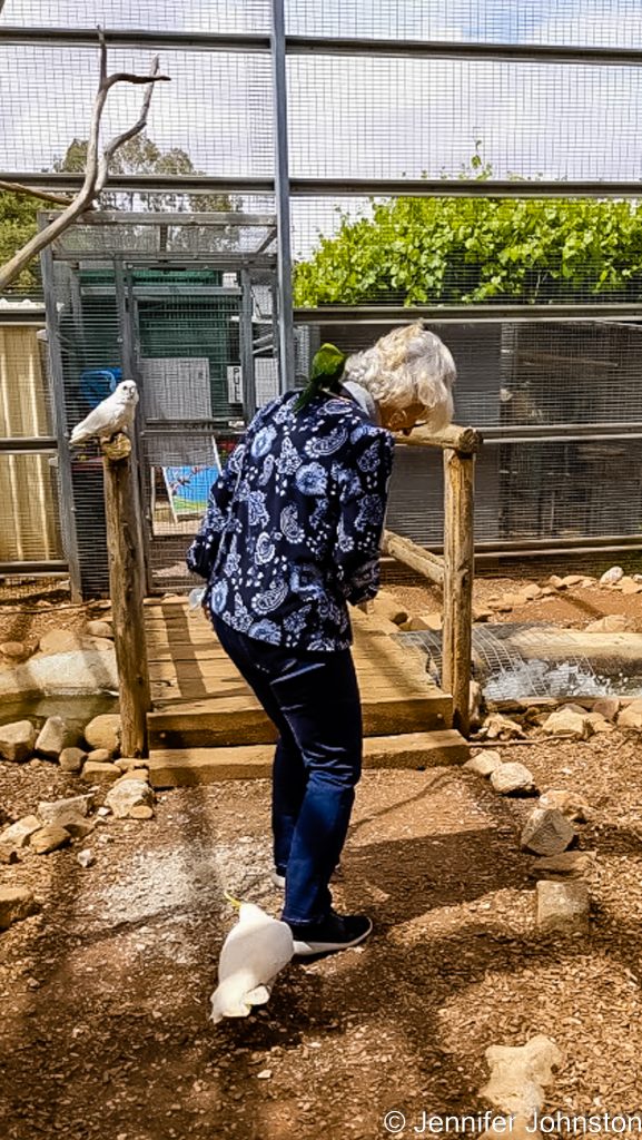 Image of a woman inside a bird aviary being pecked by a couple of birds