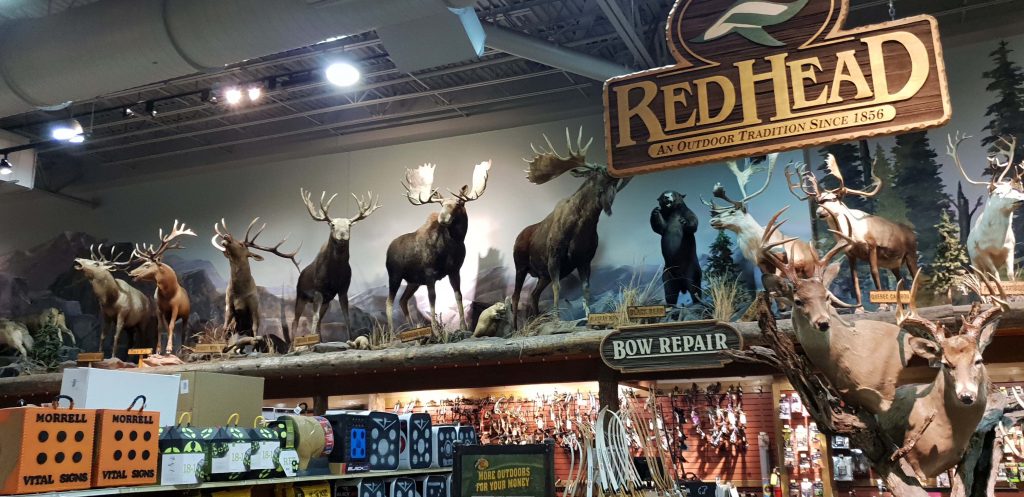 Image of a line of taxidermied moose on a shelf in a store