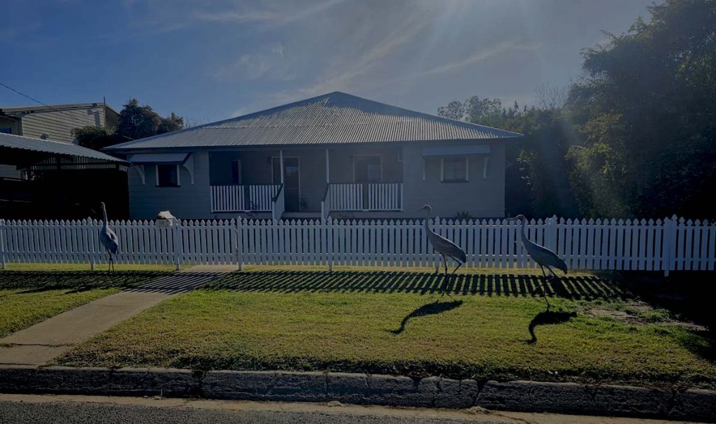 Image of a Queensland house with three large gray brolga birds wandering down the street